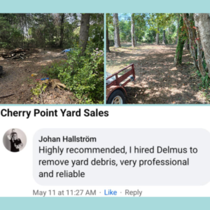 Yard debris review